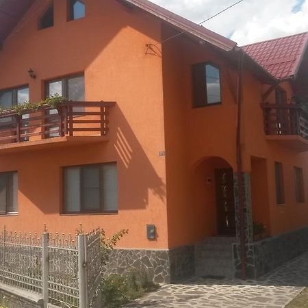 Pensiunea Adi Săpînţa 外观 照片