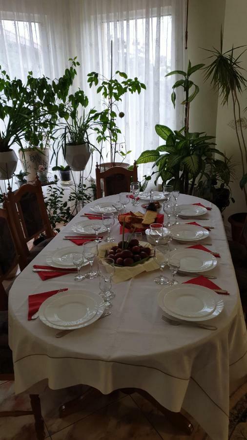 Pensiunea Adi Săpînţa 外观 照片